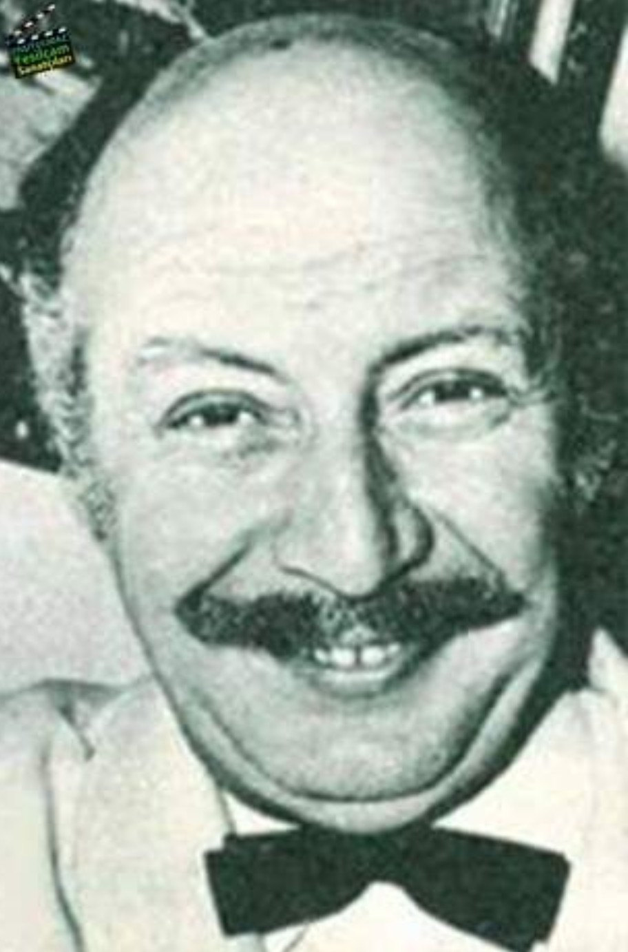 Suzan Avci