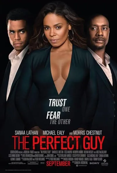  فیلم The Perfect Guy 2015