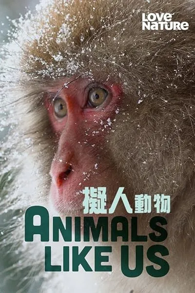  مستند Animals Like Us