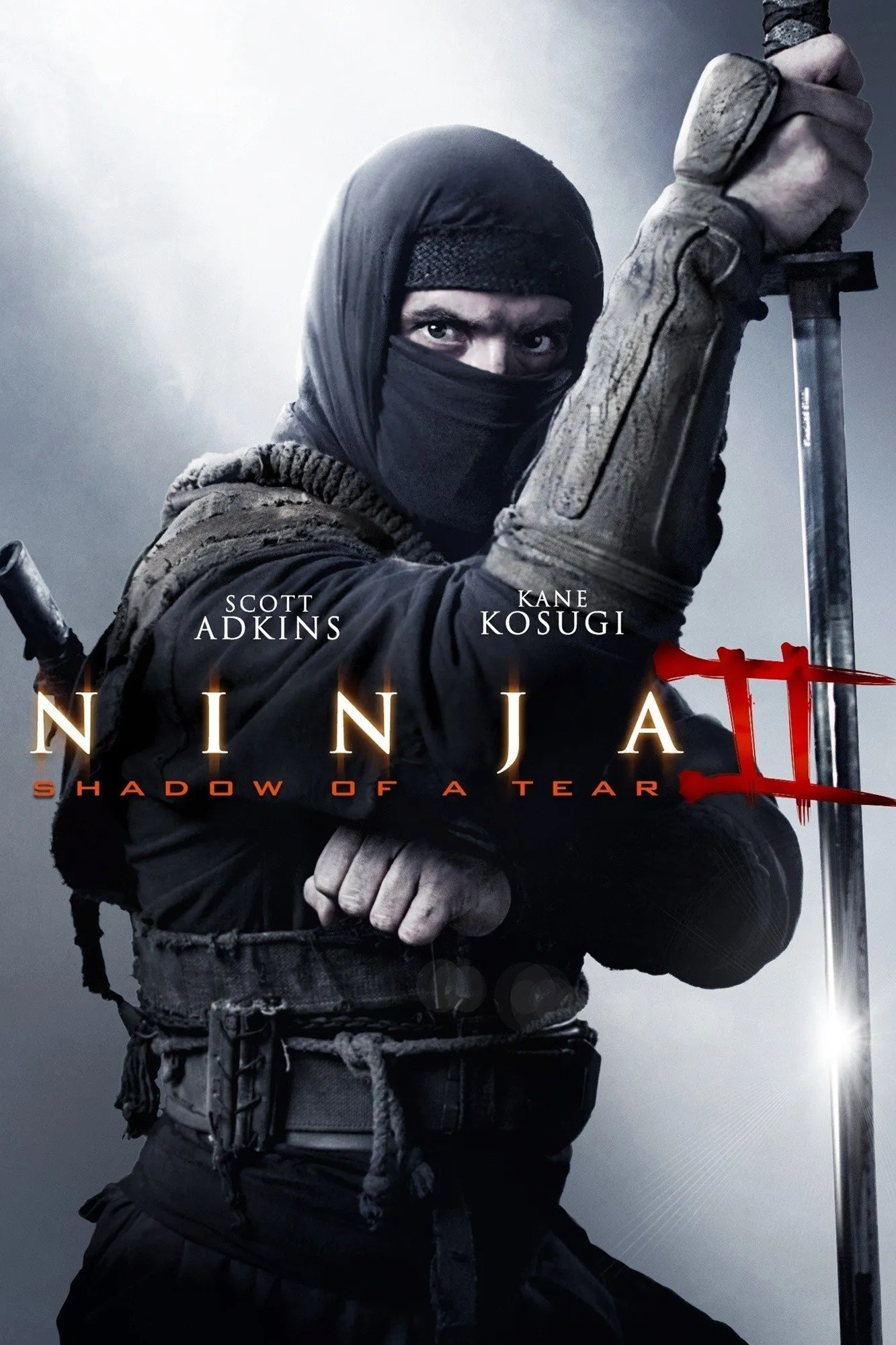  فیلم Ninja: Shadow of a Tear 2013