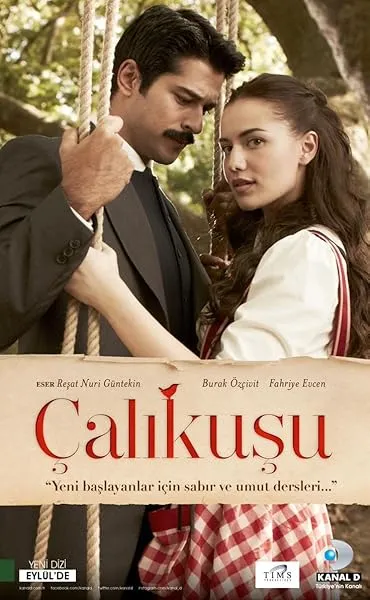 سریال Calıkusu
